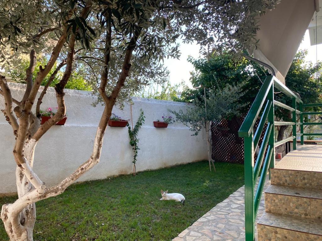 Apartment Ergys Ksamil